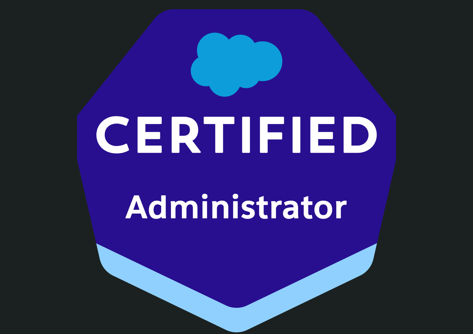 Salesforce Administrator